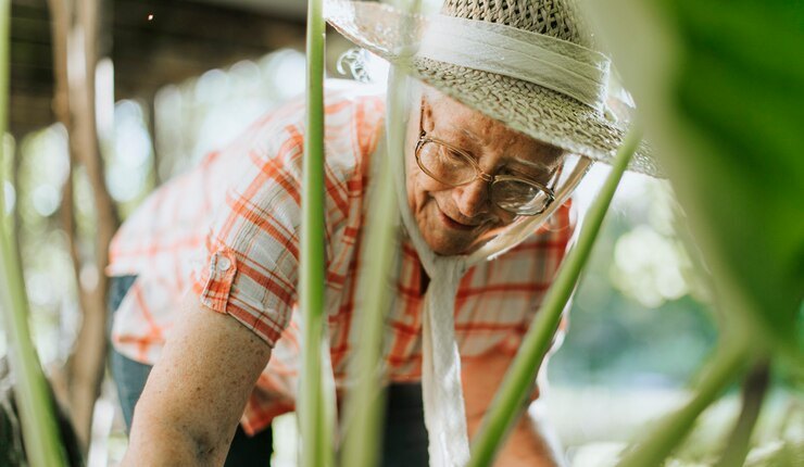 Beneficios de hacer jardinería para las personas mayores